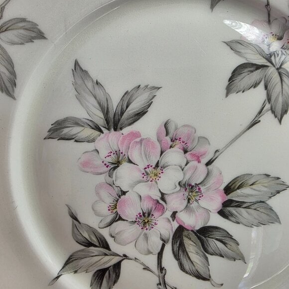 TWO Manor House Spring Glory Dinner Plates Pink & White Floral Gray Leaves - Picture 6 of 16